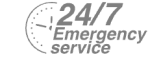 24/7 Emergency Service Pest Control in Lee, SE12. Call Now! 020 8166 9746
