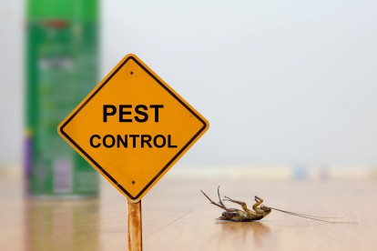 Pest Contol in Lee, SE12. Call Now 020 8166 9746